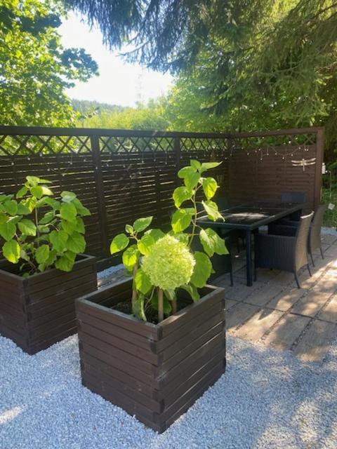 Bialy Zakatek Apartment Szklarska Poręba Exterior foto